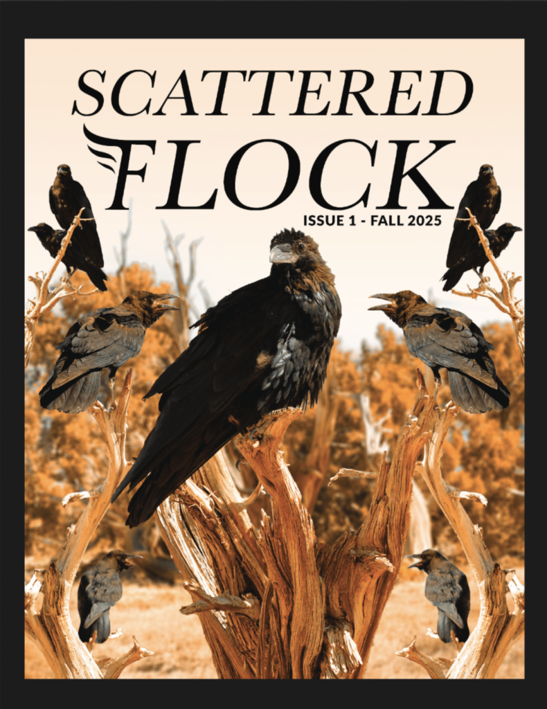 Scattered Flock Journal Issue 1 Cover